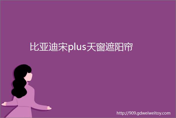 比亚迪宋plus天窗遮阳帘