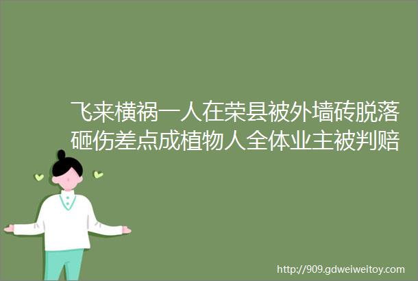 飞来横祸一人在荣县被外墙砖脱落砸伤差点成植物人全体业主被判赔承担责任